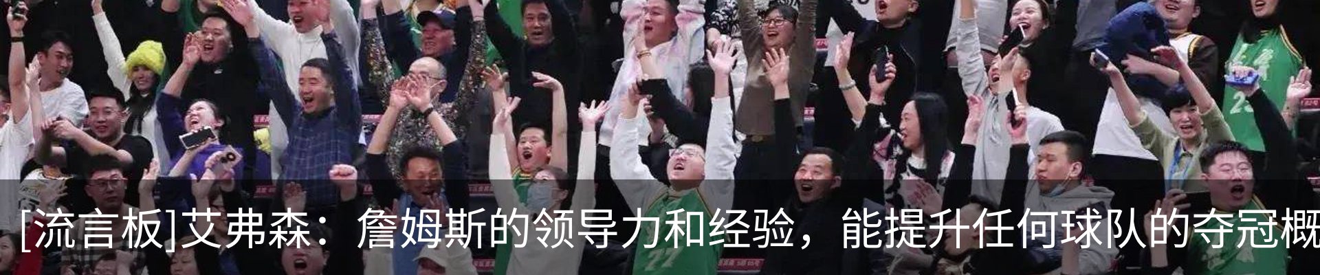 新闻动态